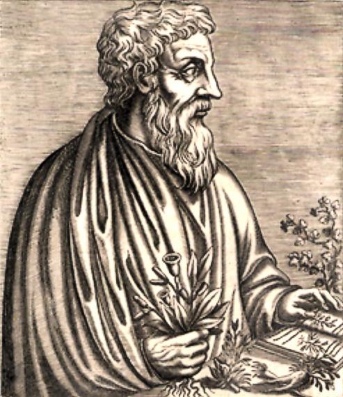 Dioscorides01